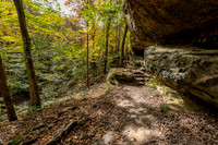 Hemlock Cliffs Trail - Hoosier Natl Forest-13