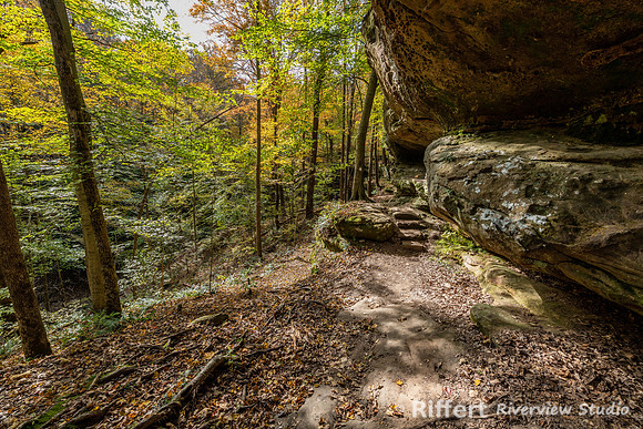 Hemlock Cliffs Trail - Hoosier Natl Forest-13