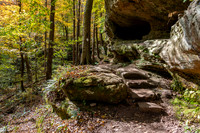 Hemlock Cliffs Trail - Hoosier Natl Forest-16