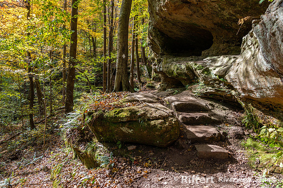Hemlock Cliffs Trail - Hoosier Natl Forest-16