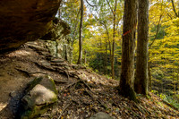 Hemlock Cliffs Trail - Hoosier Natl Forest-15