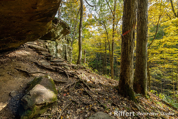 Hemlock Cliffs Trail - Hoosier Natl Forest-15