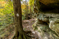 Hemlock Cliffs Trail - Hoosier Natl Forest-18