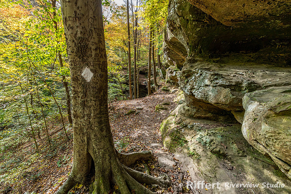 Hemlock Cliffs Trail - Hoosier Natl Forest-18