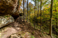 Hemlock Cliffs Trail - Hoosier Natl Forest-17