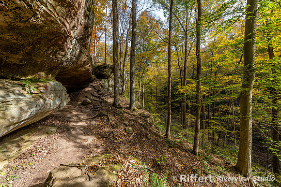 Hemlock Cliffs Trail - Hoosier Natl Forest-17