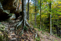 Hemlock Cliffs Trail - Hoosier Natl Forest-19