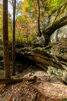 Hemlock Cliffs Trail - Hoosier Natl Forest-21