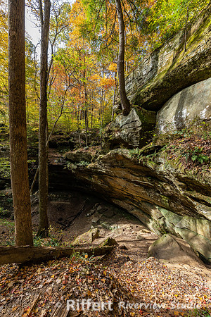 Hemlock Cliffs Trail - Hoosier Natl Forest-21