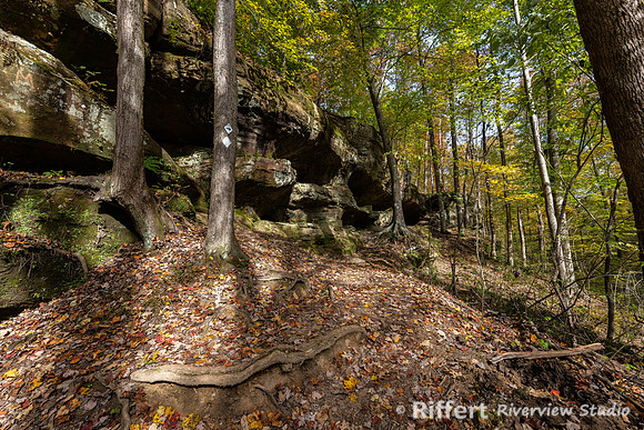 Hemlock Cliffs Trail - Hoosier Natl Forest-22
