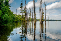 Hovey Lake-2
