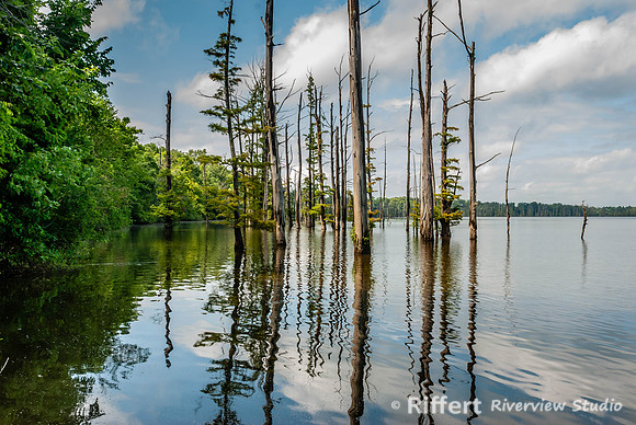 Hovey Lake-2