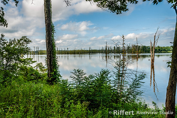 Hovey Lake-4