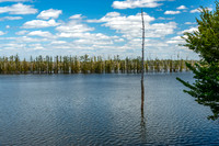 Hovey Lake-6
