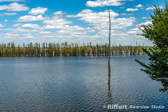 Hovey Lake-6