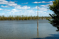 Hovey Lake-7