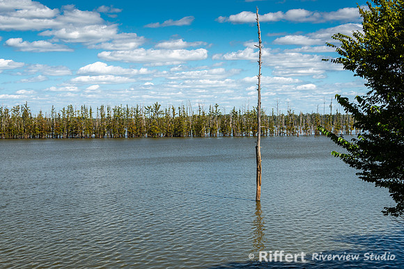 Hovey Lake-7