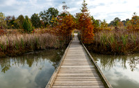 Howell Wetlands