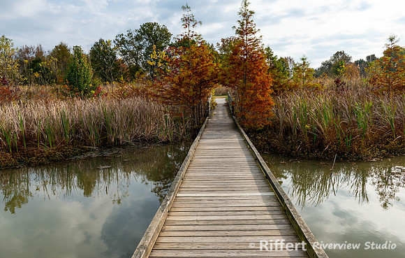 Howell Wetlands