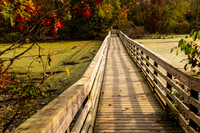 Howell Wetlands - Evansville, IN