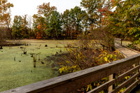 Howell Wetlands-3
