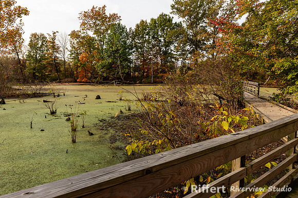 Howell Wetlands-3