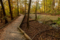 Howell Wetlands-4