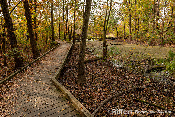 Howell Wetlands-4
