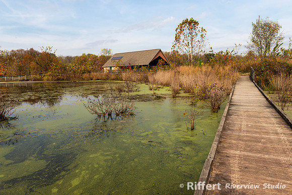 Howell Wetlands-6