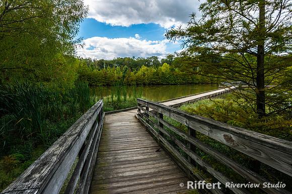 Howell Wetlands-7