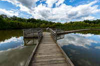 Howell Wetlands-9