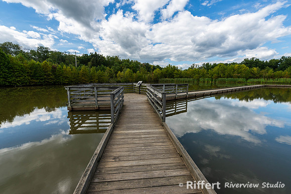 Howell Wetlands-9