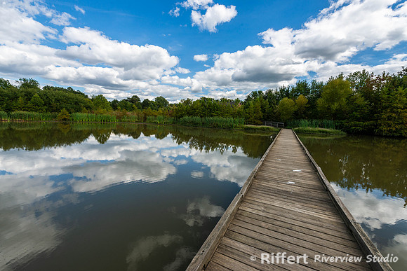 Howell Wetlands-10