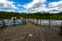Howell Wetlands-11