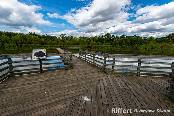 Howell Wetlands-11