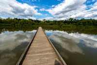 Howell Wetlands-12