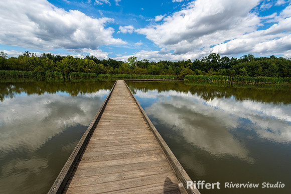 Howell Wetlands-12