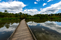 Howell Wetlands-13