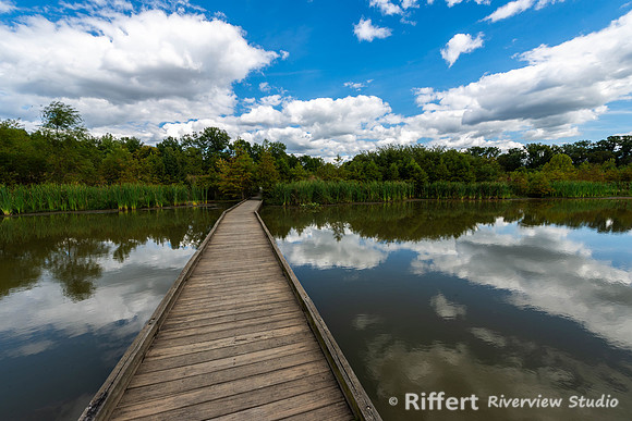Howell Wetlands-13