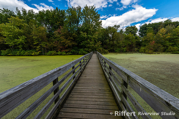 Howell Wetlands-15