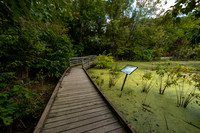 Howell Wetlands-16