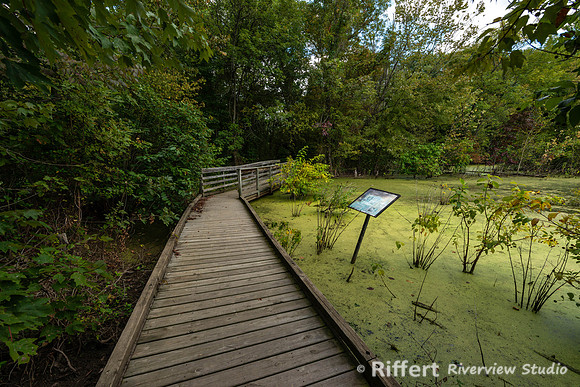 Howell Wetlands-16