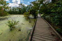 Howell Wetlands-17