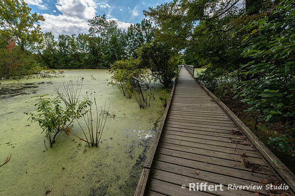 Howell Wetlands-17