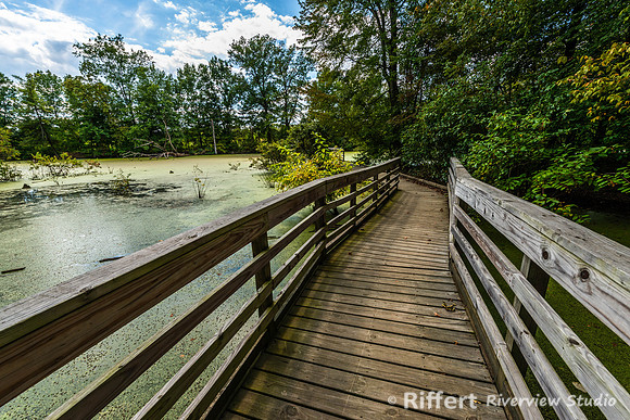 Howell Wetlands-18