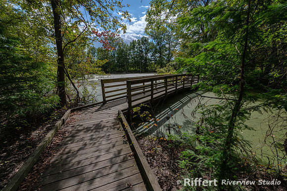 Howell Wetlands-19