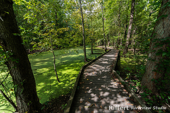 Howell Wetlands-20