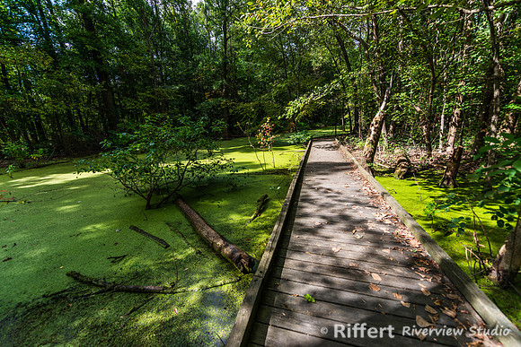 Howell Wetlands-21