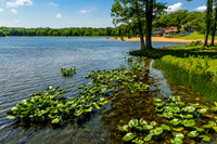 Lincoln State Park-4