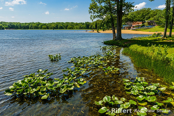Lincoln State Park-4